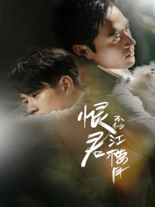 恨君不似江楼月 