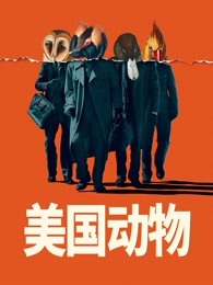 美国动物 