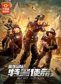 特警使命之全城危机 