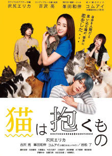 猫是要抱着的 