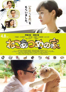猫咪后院之家 