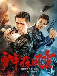 神探风云 