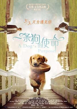 一条狗的使命 