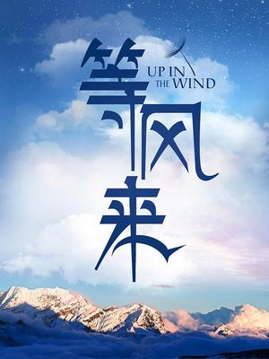 等风来 