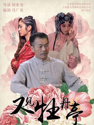 又见牡丹亭 