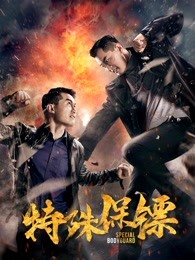 特殊保镖 