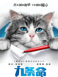 九条命普通话 