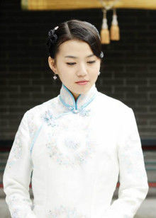 宅门里的女人们 