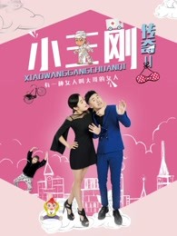 小王刚传奇2 
