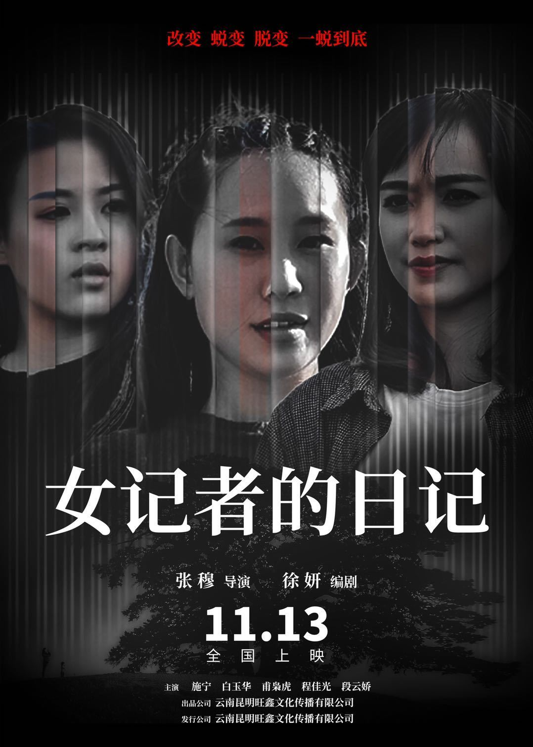 女记者的日记 