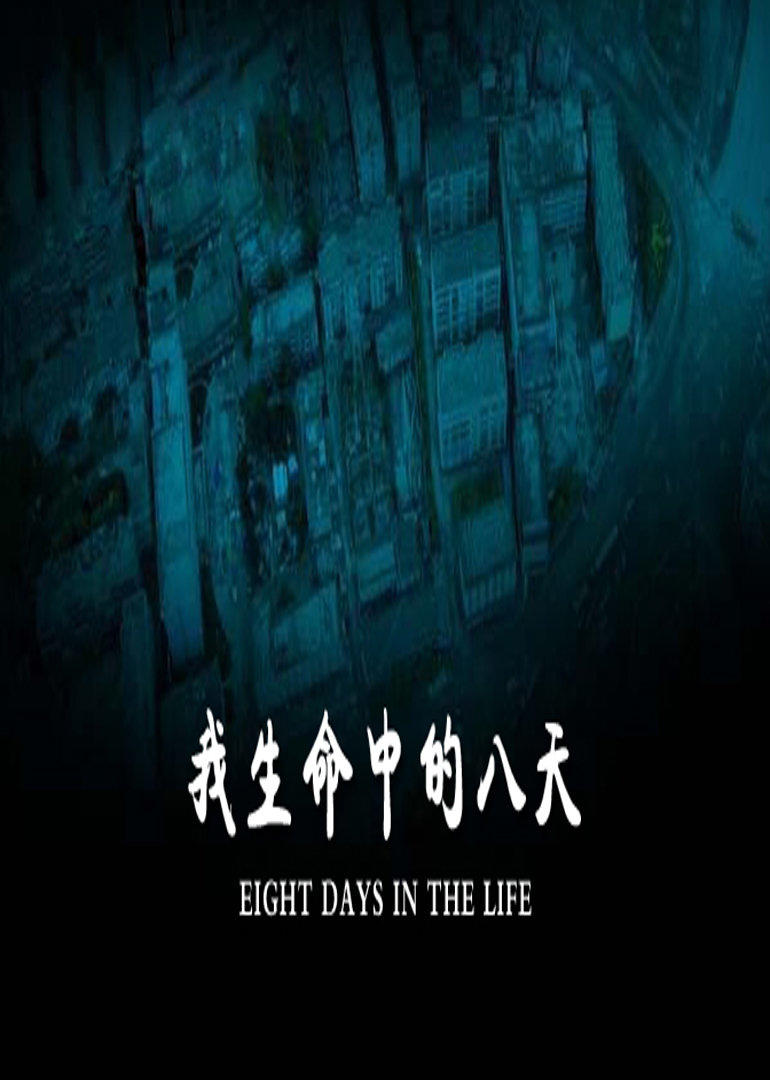 我生命中的八天 