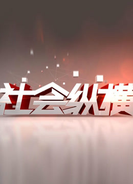 社会纵横 