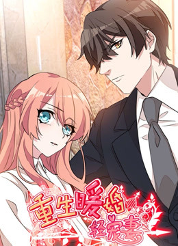 重生暖婚轻宠妻 
