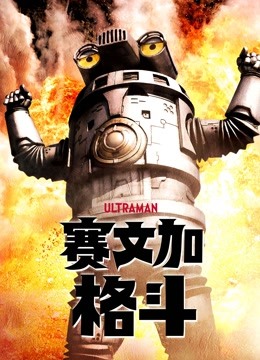 赛文加格斗 