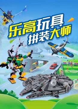 乐高玩具拼装大师 