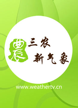 三农新气象 