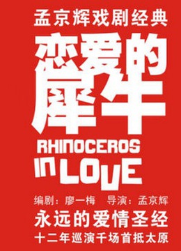 恋爱的犀牛 