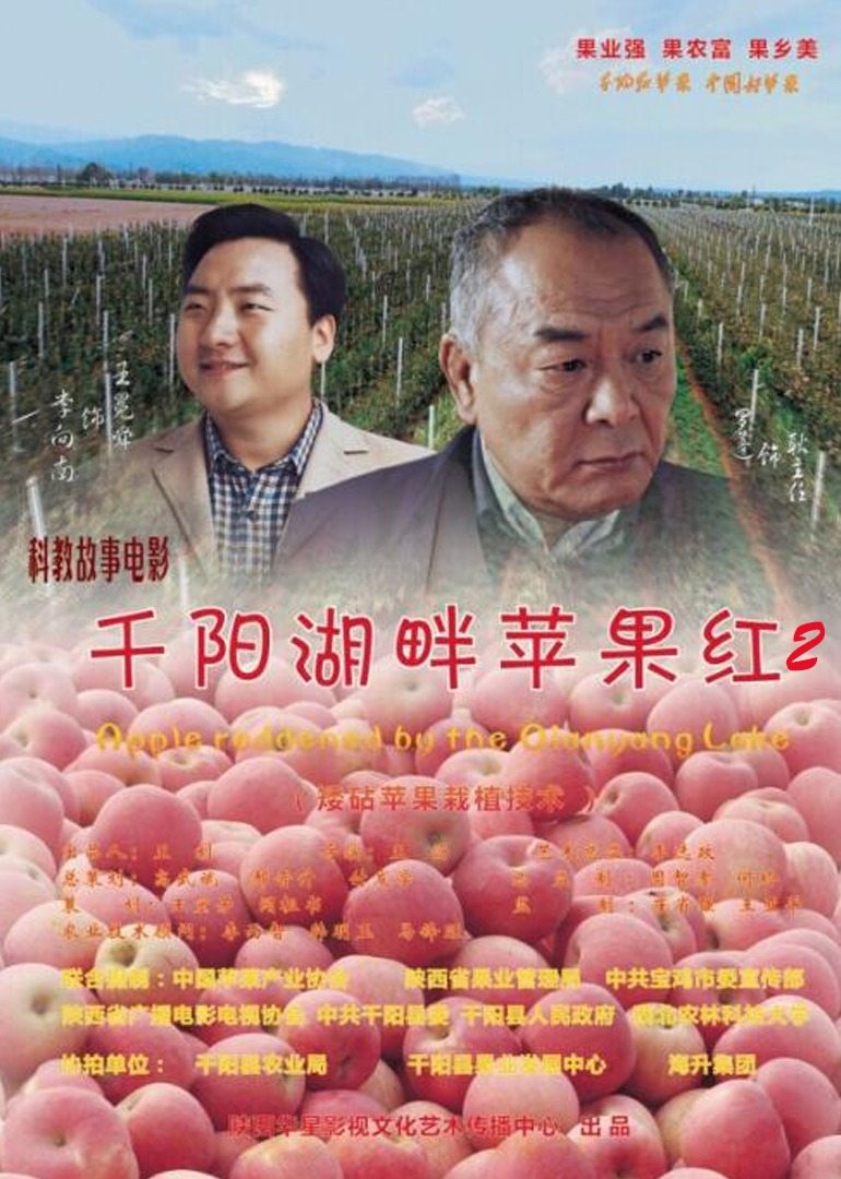 千阳湖畔苹果红2 