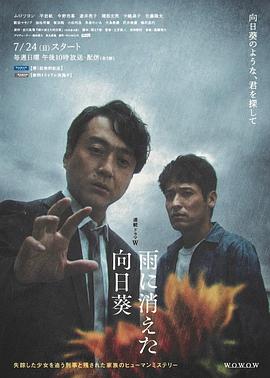 雨中消失的向日葵 
