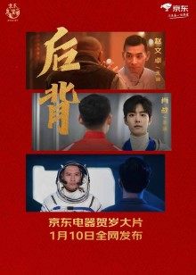 京东电器年货节贺岁大片后背 