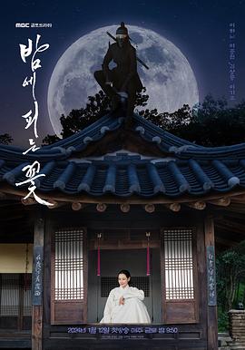 夜晚开的花 
