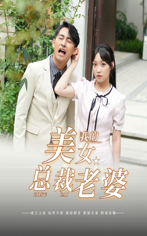 我的美女总裁老婆 