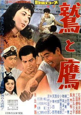鹫与鹰 