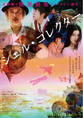 贝壳收藏家 