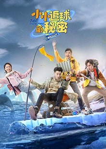 小小追球的秘密 