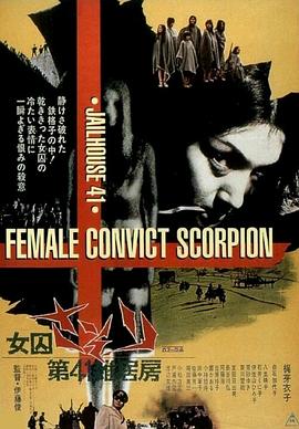 第41号女囚房 