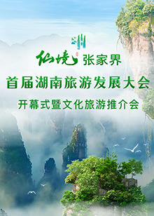 首届湖南旅游发展大会开幕式暨文化旅游推介会 