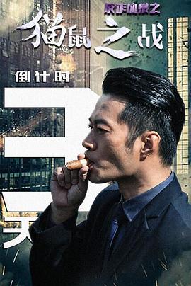 反诈风暴之猫鼠之战 