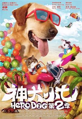 神犬小七第二季 