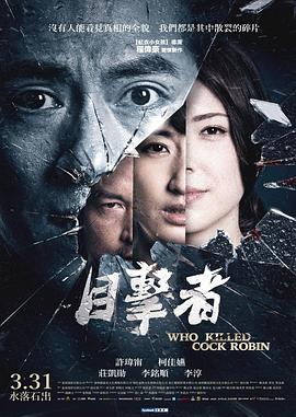 目击者之追凶 