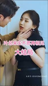 叶总来生不愿再相见 