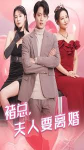 褚总夫人要离婚 