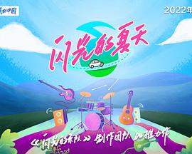 闪光的夏天 