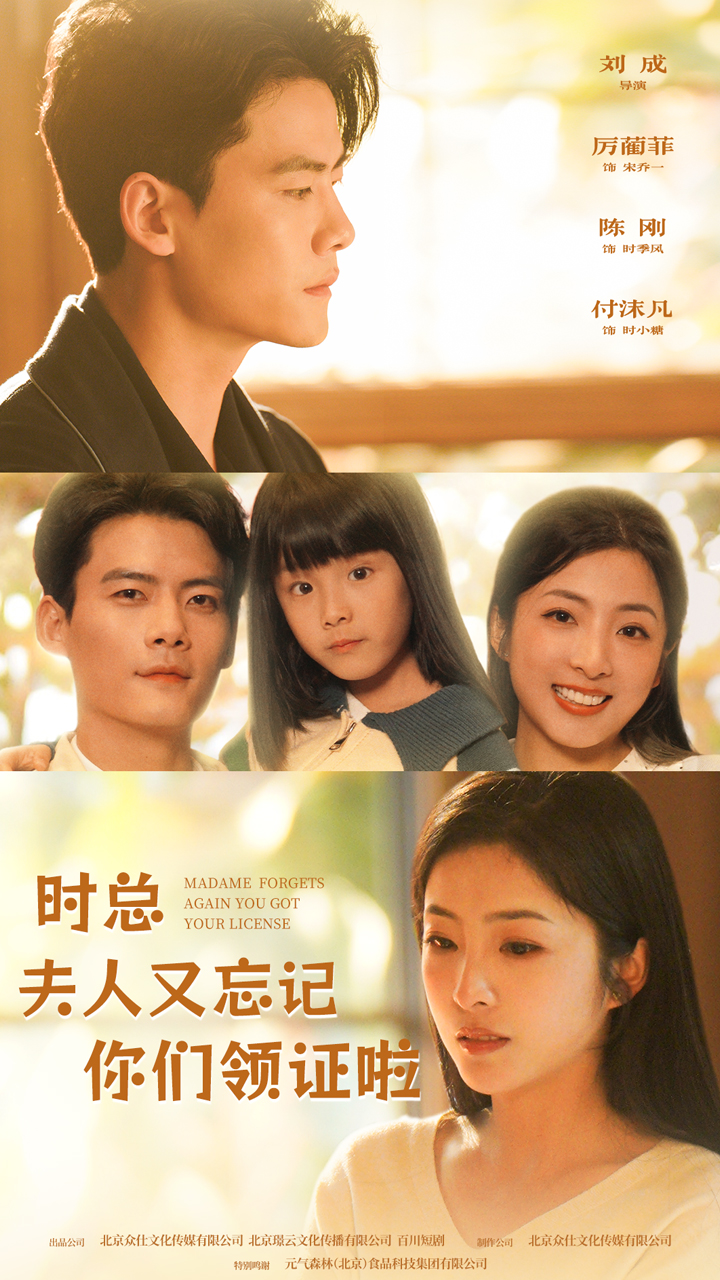 时总,夫人又忘记你们领证啦 