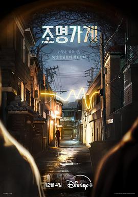 照明商店2024 